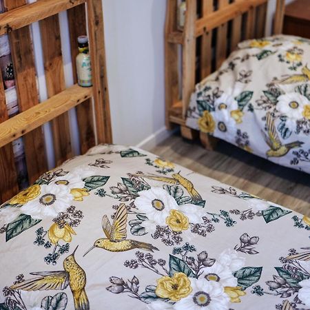 Gite Proche Du Canal Du Midi Et Narbonne 2 Chambres Mirepeisset Ngoại thất bức ảnh